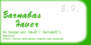 barnabas haver business card